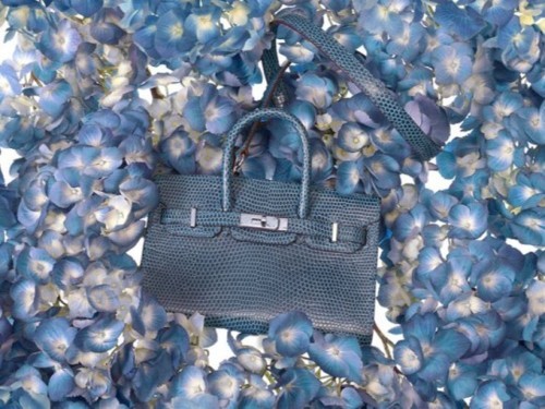 tumblr m2lar2HbaL1r56bid Hermes Mini Kelly and Birkin bags Spring 2012