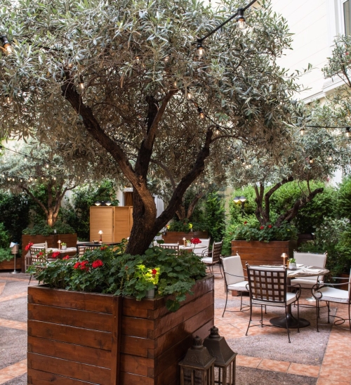 “Il Giardino Segreto” στο ATRIUM του Alexander’s Lounge
